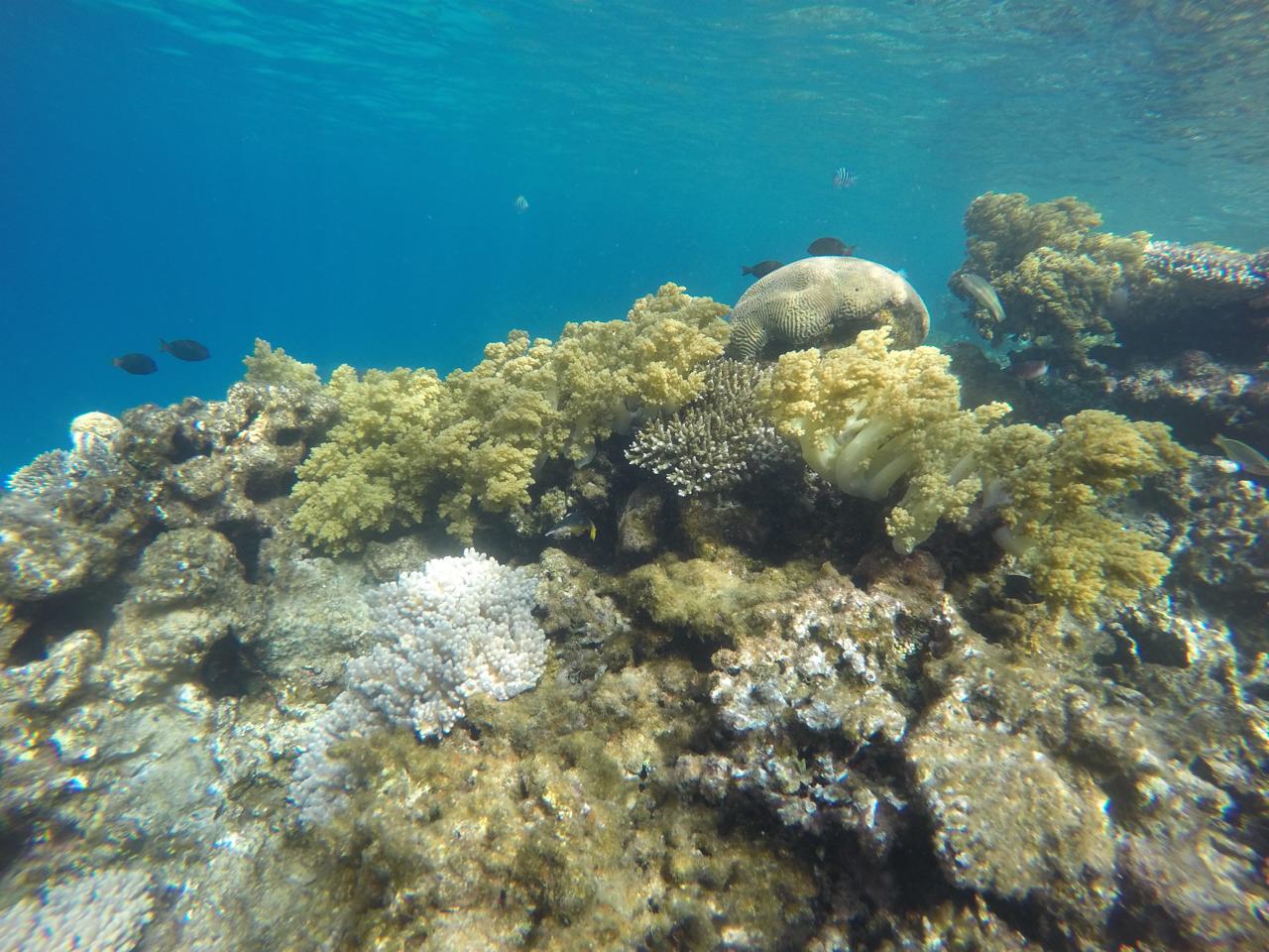 Caring for the Surrounding Environment