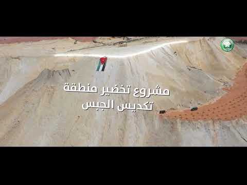 Greening Jabal Al-Jibs in the Aqaba Industrial Complex of the Phosphate Company… A pioneering step and a remarkable environmental achievement toward a greener future